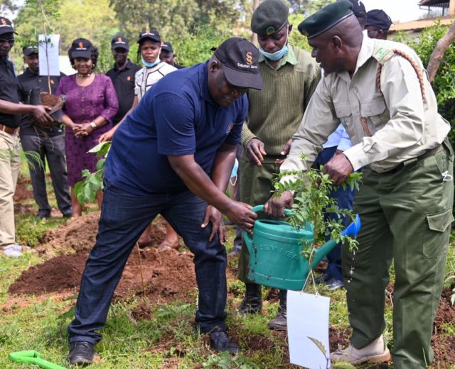 solution-sacco-launches-tree-planting-as-part-of-csr